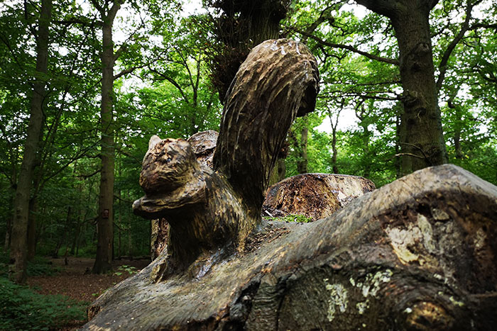 squirrel carved into a tree stump