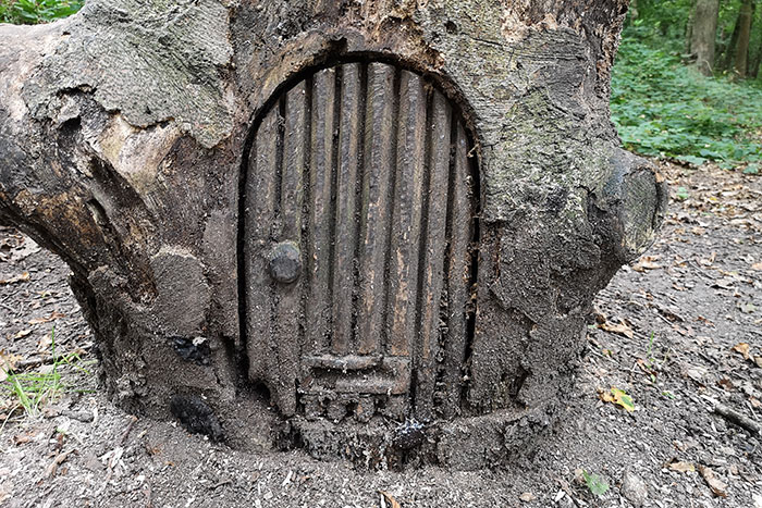 door carved into a tree stump