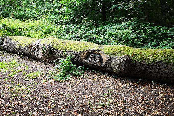 tree trunk as a bench