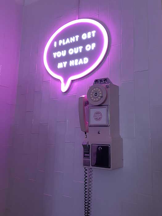 I Plant Live Without You