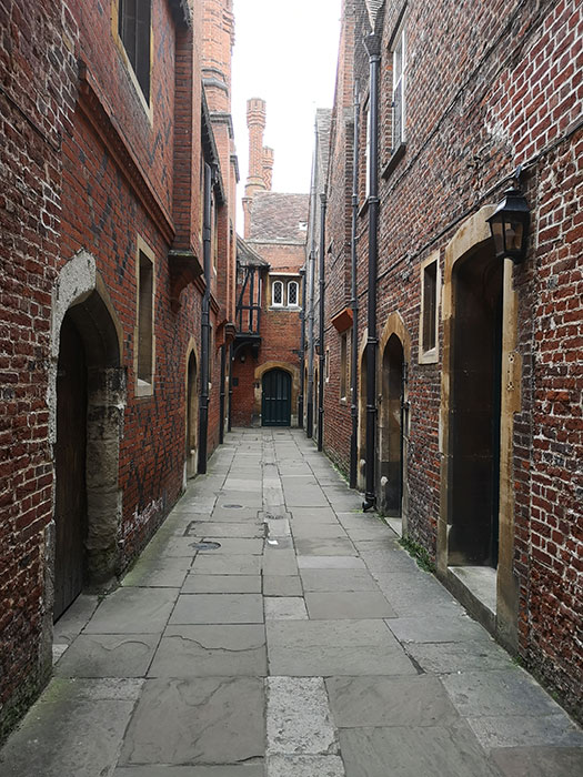 Picture from Hampton Court