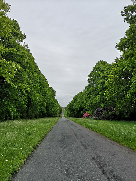 Road towards the tower