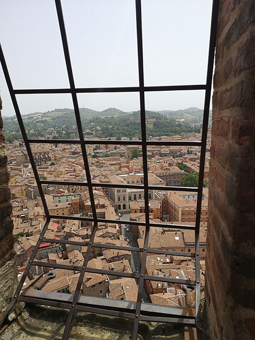 Bologna seen from the tower