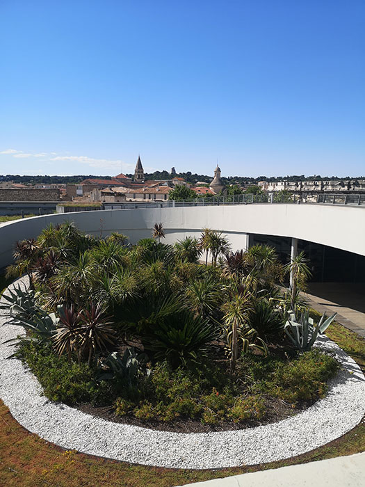 rooftop garden