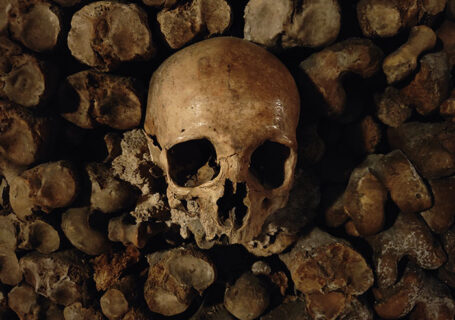 The Paris Catacombs