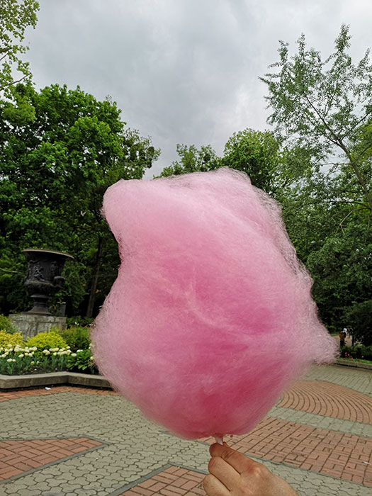 Cotton candy with sour cherries