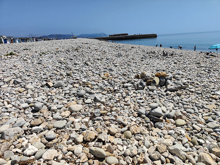 Searching for fossils