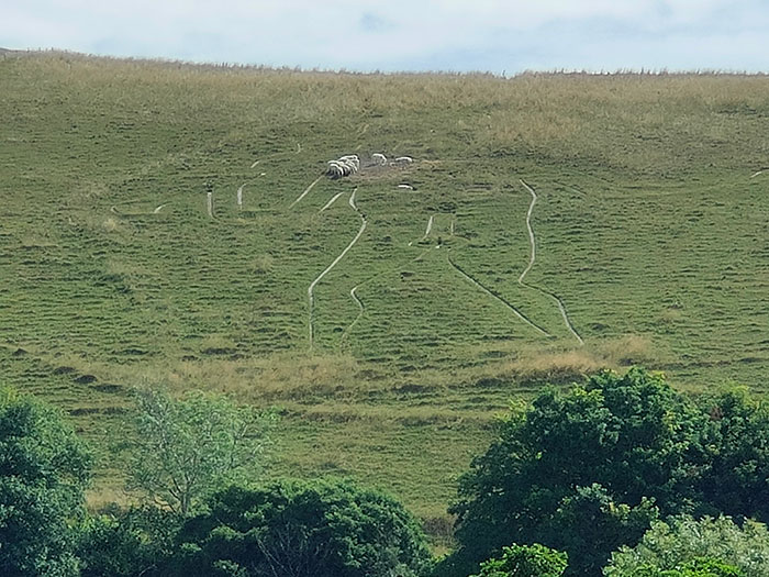 Cerne Giant close up