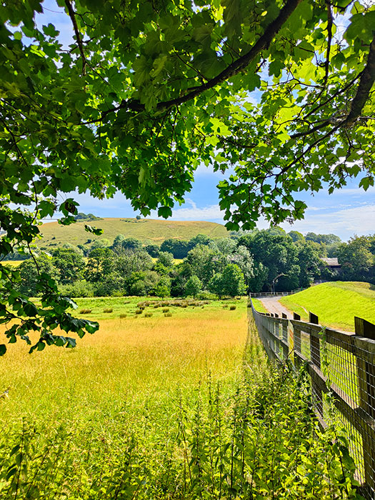 Path to Cerne Giant