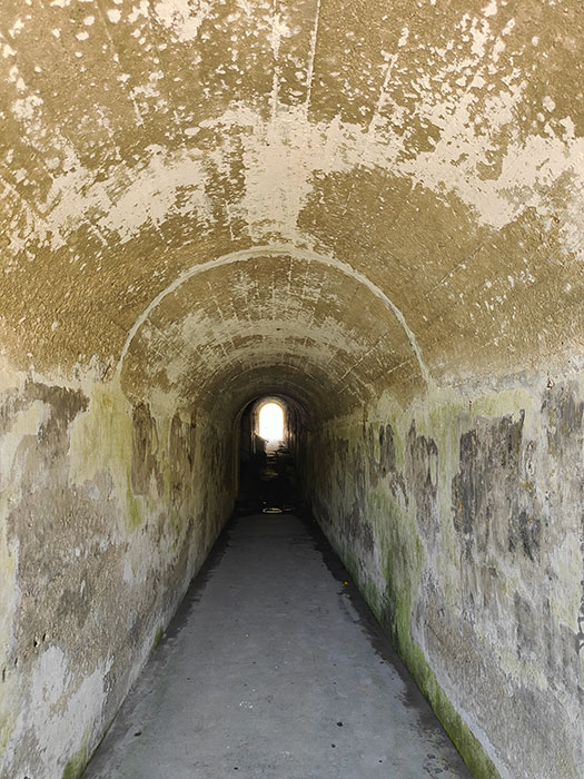 portland battery